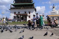 Doves at the Gandan Monastery