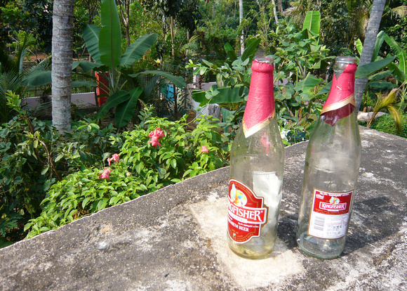 Empty Kingfisher bottles