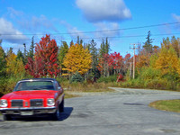 Acadia Nat'l Park, Maine, Oct 2008
