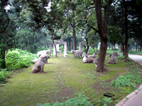 Confucian Forest & Cemetery