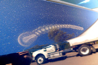 Flora imprint on the side of the car