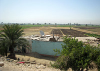 Al-Jazeera in the Luxorian fields