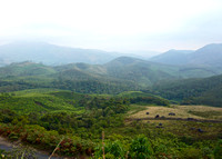 Tea plantations at Munar