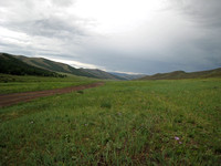 Mogolian steppe