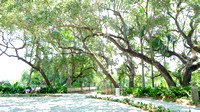 Vizcaya Gardens with Yana