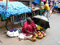 Offerings vendor