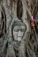 044. Overgrown Buddha head