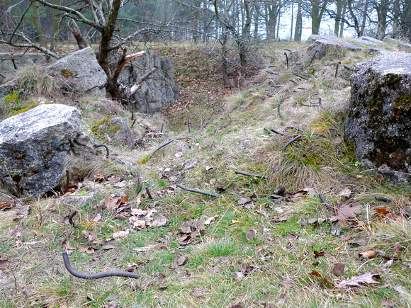 What's left of Wehrwolf Bunker