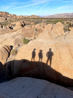 4 Playing at the Joshua Tree