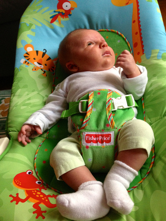 Trying on the bouncy chair