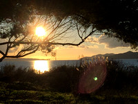 Albany Bulb, Dec.