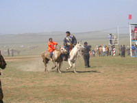 Naadam Festival