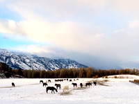 Jackson, WY, Dec 2013