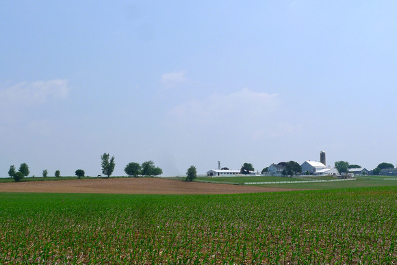 Field-n-farm