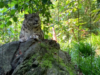 NYC - Central Park Zoo