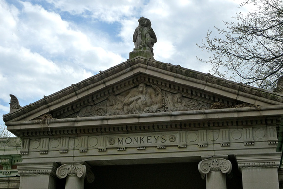 Monkey Supreme Authority Bldg