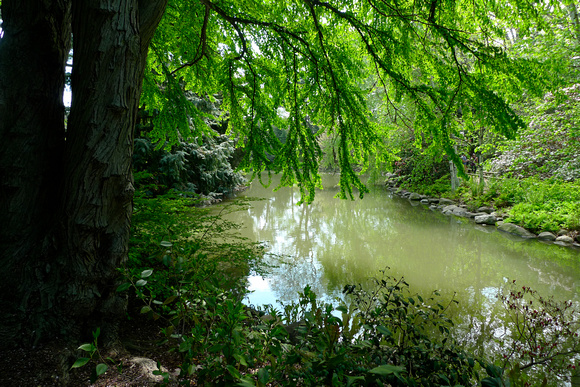 Quiet corner