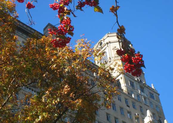 Central Park West