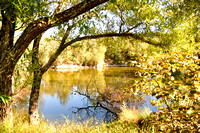 Napa Reception, Sep 2010