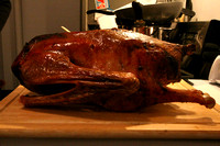 Thanksgiving Goose!