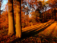 Hudson Valley in Nov